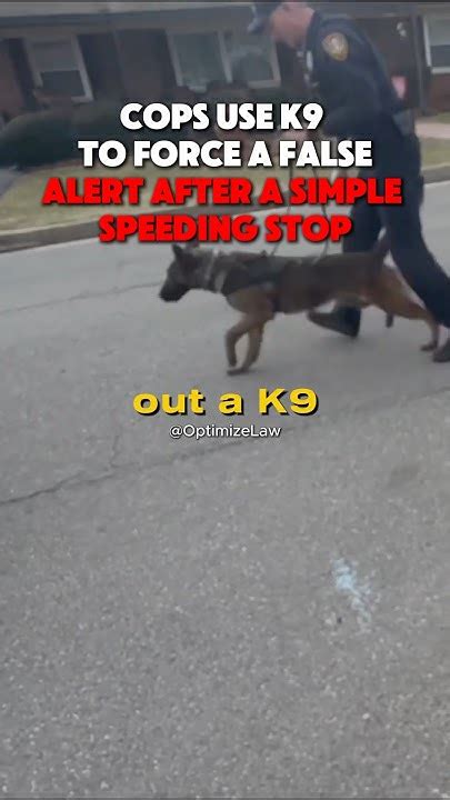 how fake are k9 alerts